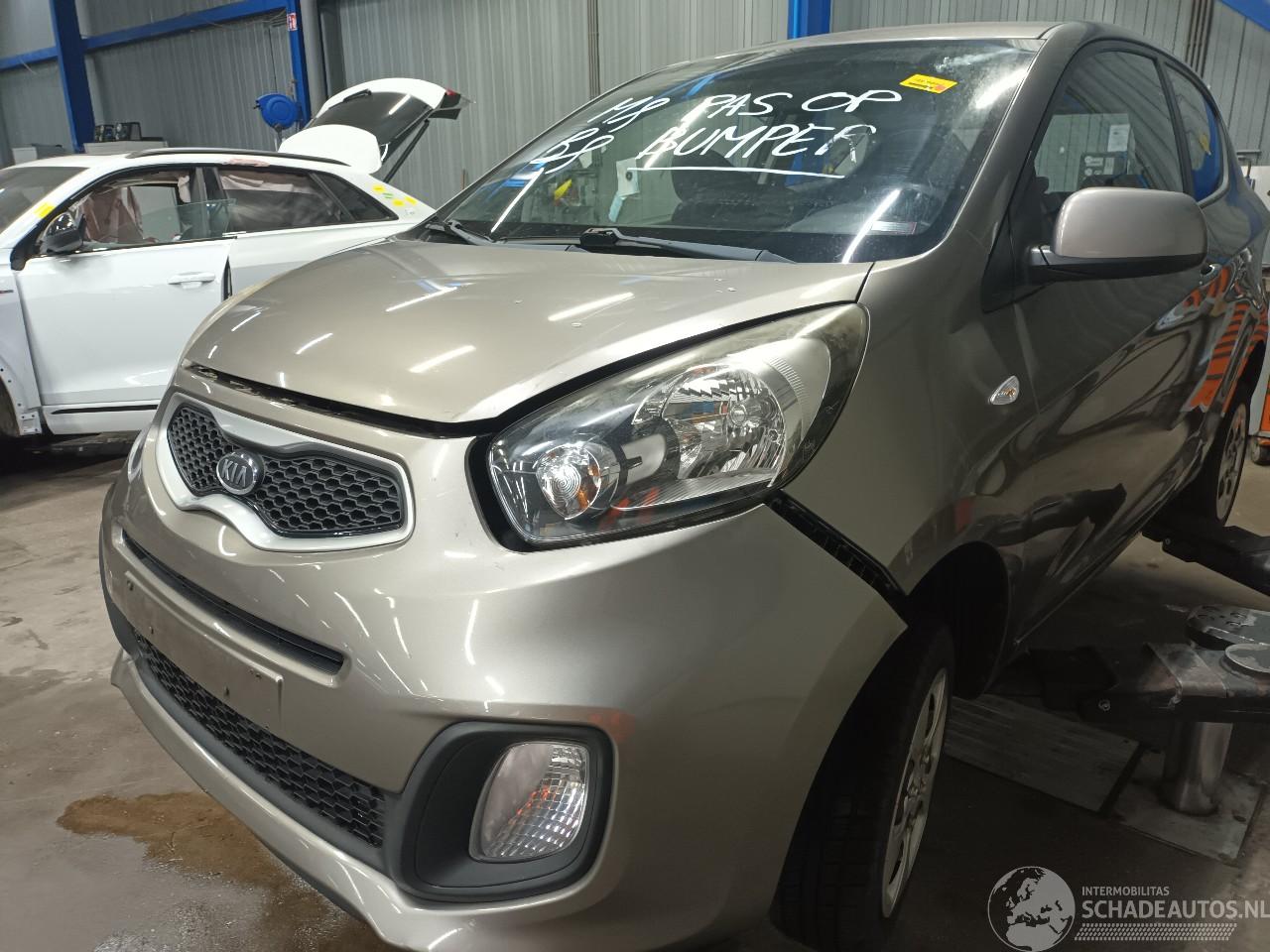 Kia Picanto Picanto (TA) Hatchback 1.0 12V (G3LA) [51kW]  (05-2011/06-2017)