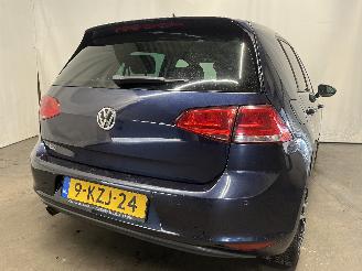 Volkswagen Golf Golf VII (AUA) Hatchback 1.6 TDI BlueMotion 16V (CRKB) [81kW]  (01-201=
3/03-2020) picture 5