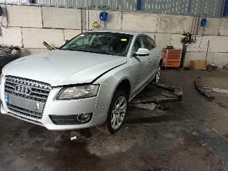 Dezmembrări autoturisme Audi A5 A5 Sportback (8TA) Liftback 2.0 TDI 16V (CAHA) [125kW]  (09-2009/03-20=
12) 2009