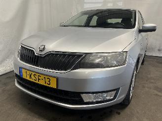 Avarii autoturisme Skoda Rapid Rapid Liftback 1.2 TSI (CBZA) [63kW]  (07-2012/05-2015) 2013/7