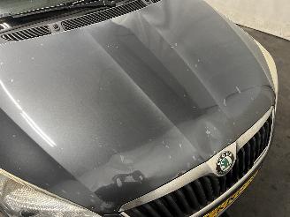 Skoda Fabia Fabia II Combi Combi 5-drs 1.2 TDI 12V Greenline (CFWA) [55kW]  (05-20=
10/12-2014) picture 8
