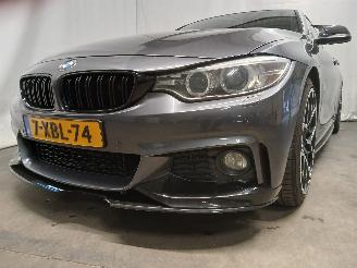 škoda osobní automobily BMW 4-serie 4 serie Gran Coupe (F36) Liftback 420i 2.0 Turbo 16V (N20-B20B) [135kW=
]  (03-2014/02-2017) 2014/6