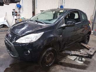 Auto da rottamare Ford Ka Ka II Hatchback 1.2 (169.A.4000(Euro 4; Euro 5)) [51kW]  (10-2008/05-2=
016) 2010/7