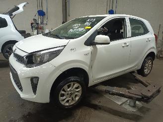 demontáž osobní automobily Kia Picanto Picanto (JA) Hatchback 1.0 12V (G3LA) [49kW]  (03-2017/...) 2018/6