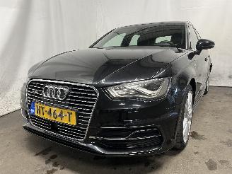 uszkodzony samochody osobowe Audi A3 A3 Sportback (8VA/8VF) Hatchback 5-drs 1.4 TFSI 16V e-tron (CUKB(Euro =
6)) [150kW]  (05-2014/10-2020) 2015/12