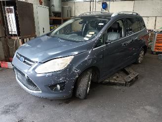  Ford Grand C-Max Grand C-Max (DXA) MPV 2.0 TDCi 16V (TXDB(Euro 5)) [120kW]  (12-2010/06=
-2019) 2012/7