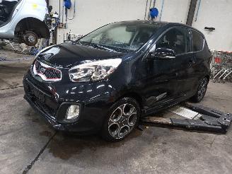 Purkuautot passenger cars Kia Picanto Picanto (TA) Hatchback 1.2 16V (G4LA5) [63kW]  (09-2011/06-2017) 2011/11
