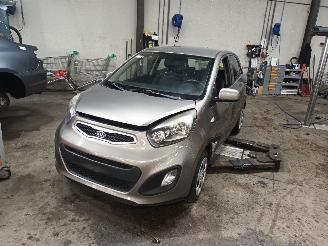 Coche siniestrado Kia Picanto Picanto (TA) Hatchback 1.0 12V (G3LA) [51kW]  (05-2011/06-2017) 2011/8