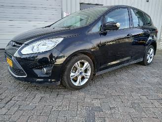 Ford C-Max C-Max (DXA) MPV 1.0 Ti-VCT EcoBoost 12V 125 (M1DA(Euro 5)) [92kW]  (10=
-2012/06-2019) picture 3