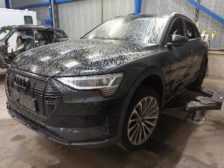 Dezmembrări autoturisme Audi E-tron e-tron (GEN) SUV 50 quattro (EASB) [230kW]  (09-2019/07-2023) 2020/9