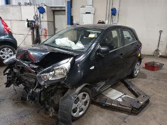  Kia Picanto Picanto (TA) Hatchback 1.0 12V (G3LA) [51kW]  (05-2011/06-2017) 2011