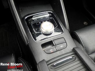 MG ZS EV Luxury 45kWh Automaat 5drs picture 20