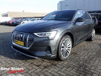 Avarii autoturisme Audi E-tron 55 Quattro 95kwh Aut 408pk 2021/1