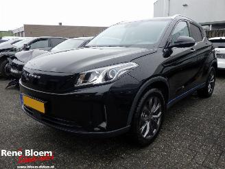 skadebil auto Seres 3 52 kWh Automaat 163pk 2025/5