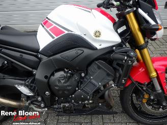 Yamaha FZ 8  picture 16