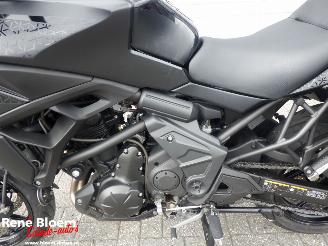 Kawasaki Versys 650 picture 14