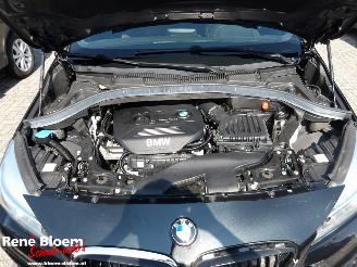 BMW 2-serie 218i Corporate Executive Automaat 136pk picture 7