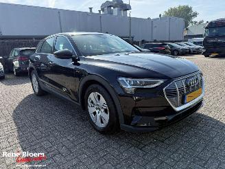 Audi E-tron 55 Quattro  edition 95 kWh picture 5