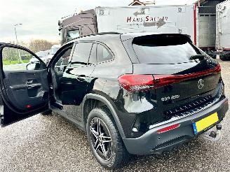 Mercedes EQA 250 AMG 190pk aut + f1 Business Solution 67kWh - navi - widescreen - sfeerverl - camera - elektr klep picture 117