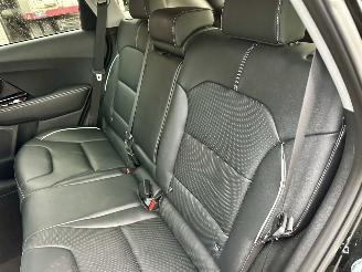 Kia e-Niro 64kWh 204pk aut + f1 DynamicPlusLine - schuifdak - nap - navi - cam - leer - stoelkoeling - stuurverw + stoelverw picture 74