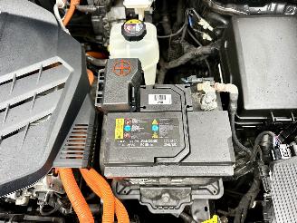 Kia e-Niro 64kWh 204pk aut + f1 DynamicPlusLine - schuifdak - nap - navi - cam - leer - stoelkoeling - stuurverw + stoelverw picture 125