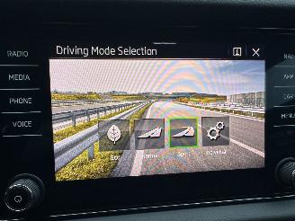 Skoda Kodiaq 1.5 TSI 150pk 7-traps aut Sportline - nap - nardo grey - keyless - virtual - sfeerverl - stuurverw - cam - memory picture 39