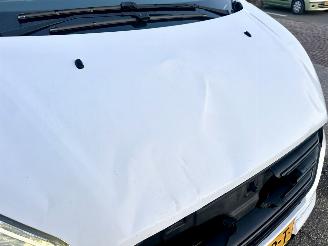 Ford Transit Custom 280 2.0 TDCI 6-bak L1/H1 Trend - nap - 1e eig - navi - camera - stoelverw - pdc v+a - trekh picture 62