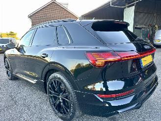 Audi E-tron 55 Quattro S-Edition 95kWh 408pk aut + F1 - nap - 1e eig - leer - front + line + park assist - keyless - elektr klep picture 7