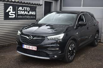 škoda osobní automobily Opel Grandland 1.5 Turbo X Innovation 130Pk *Navi/Leder/Stoelverwarming/Camera/Panorama 2020/1
