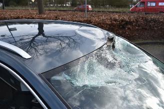 Skoda Octavia 1.0 Tsi Business Edition Plus 110Pk *Navi/Clima/Camera/Stoelverwarming picture 21