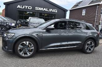 Avarii autoturisme Audi E-tron 71Kwh Quattro 50 S Line 313Pk SOH 99% 3FASE *Navi/Clima/Stoelverwarming/Panorama 2019/12