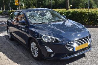 Ford Focus 1.0 Ecoboost Titanium Business 125Pk *Navi/Clima picture 2