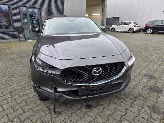 Mazda CX-30 137 kw Hybride / Automaat picture 17