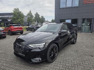 škoda osobní automobily Audi E-tron 55 quattro 300kw  S-Line Black Edition 95 kWh 2022/12