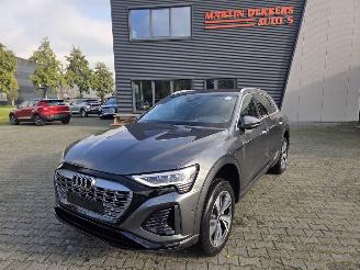 Avarii autoturisme Audi Q8 E-tron S-LINE  Quattro 250kw / 95 Ah / Luchtvering 2024/8