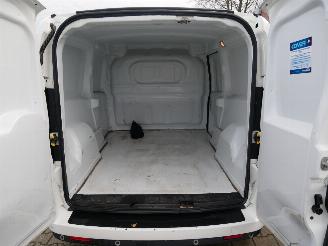 Fiat Doblo L2H2 picture 16