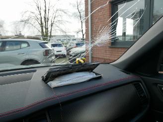 Skoda Kodiaq RS 4x4 PANORAMADAK ACC DCC ALCANTARA DSG 7 PERSOONS picture 19