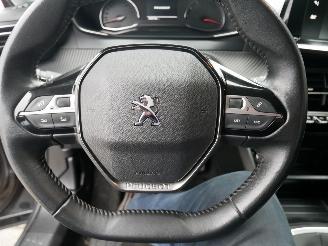 Peugeot 2008 ACTIVE LED picture 12