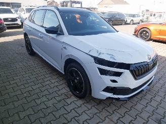 Skoda Kamiq MONTE CARLO PANORAMADAK LED picture 4