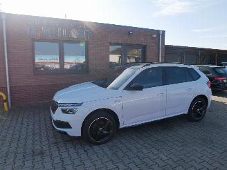  Skoda Kamiq MONTE CARLO PANORAMADAK LED 2024/3