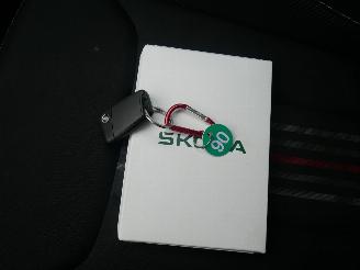 Skoda Fabia MONTE CARLO PANORAMADAK DSG LED picture 20