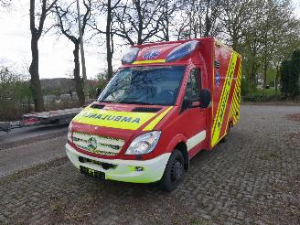  Mercedes Sprinter 519 CDI ZIEKENHUIS AUTO 2012/6