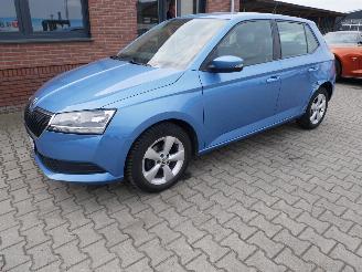 Skoda Fabia ACTIVE picture 2