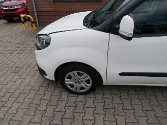 Fiat Doblo  picture 6