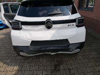 Citroën C3 e C3 113 Max picture 9