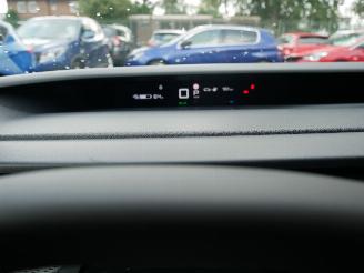 Citroën C3 e C3 113 Max picture 16