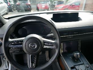 Mazda MX-30 AD`VANTAGE picture 12