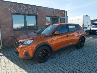 Coche accidentado Peugeot 2008 ACTIVE  HAGELSCHADE 2021/4