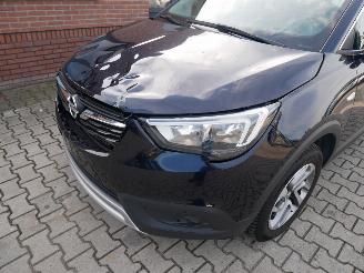 Opel Crossland INNOVATION HUD picture 2
