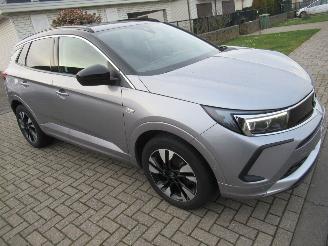 Opel Grandland GrandLand X 1.2B 130pk AUT. INNOVATION  Climatronic HalfLeer Navi Camera Stoel/StuurVerwarming picture 2